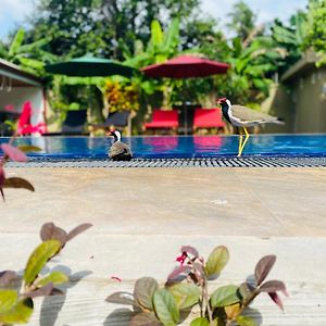 The Kingslayer Resort
